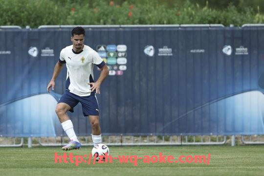 澳客足彩-意甲球队转会巡礼名单及重点引援解析