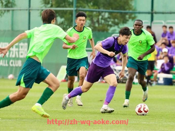 澳客足彩-法甲比赛常见战术要点解析与实战应用